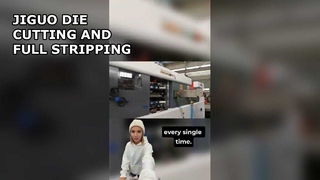 JIGUO (VOLLEDIG STRIPPEN) AUTOMATISCHE SNIJ- EN STRIPPERMACHINE