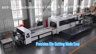 JIGUO MYP 1320Q Automatische stans- en stripmachine